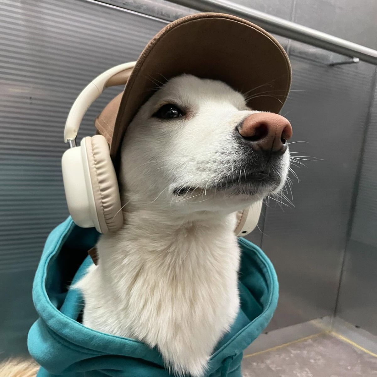 Anukalp profile photo